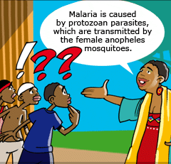 Mama Fatuma knows where malaria comes from.